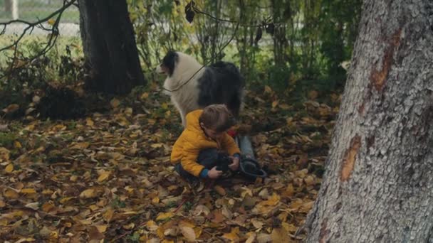 Mladý Chlapec Zástrčky Listí Dmychadlo Jako Pes Hodinky — Stock video