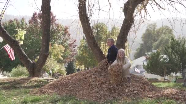 Twee Kinderen Spelen Een Stapel Bladeren Gooien Lucht Neergeschoten 120Fps — Stockvideo