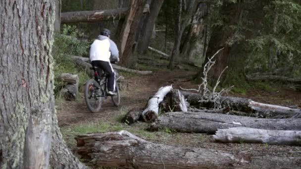 森の中で自転車に乗る男 バリローシュアルジェンチナ グティエレス湖の近くの川を渡り — ストック動画