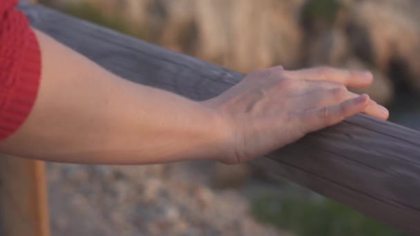 Mano Una Mujer Acaricia Siente Tacto Madera Tronco Forma Barandilla — Vídeos de Stock