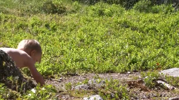 Niño Pequeño Torpemente Caminando Descalzo Terreno Forestal Mirando Derecha — Vídeos de Stock