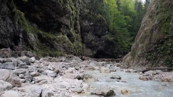 Een Man Die Overdag Martuljek Waterval Verkent Gozd Martljek Slovenië — Stockvideo