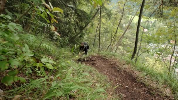 Homem Caminhando Por Uma Floresta Muito Verde Dia Nublado Eslovênia — Vídeo de Stock