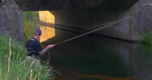 橋の下の小さな川でマスのフライフィッシング 自然やライフスタイルのビデオプロジェクトに最適なシネマティックフライフィッシングシーン — ストック動画