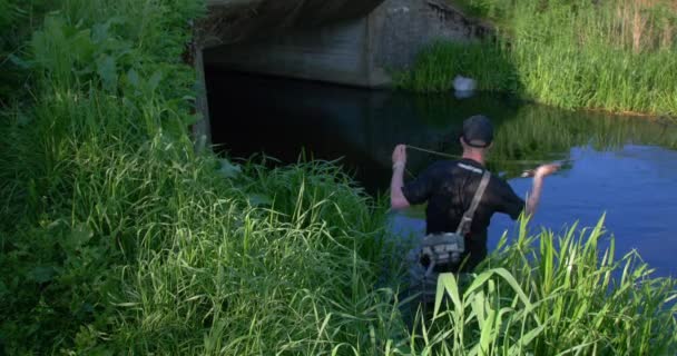 Риболовля Форелі Невеликій Річці Пошук Величезної Форелі Кінематографічна Риболовля Сцена — стокове відео