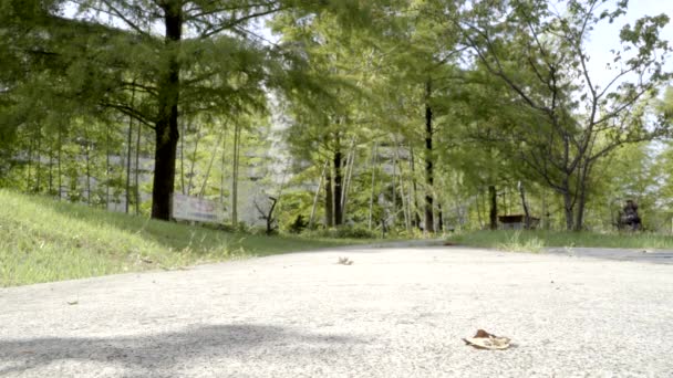 Mann Mit Hut Fährt Mit Fahrrad Durch Den Park Stoppt — Stockvideo