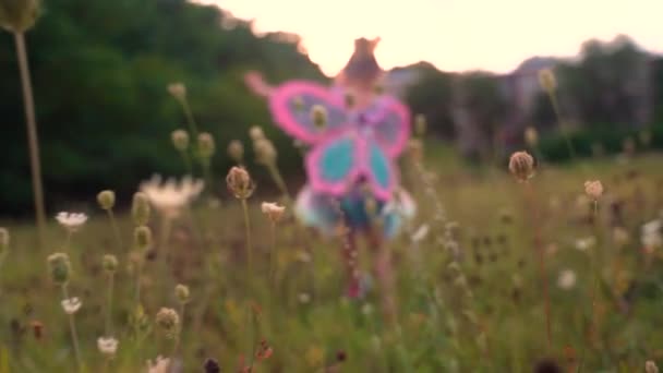 Child runs in slow motion through field of flowers at sunset dressed like a butterfly fairy in summer.