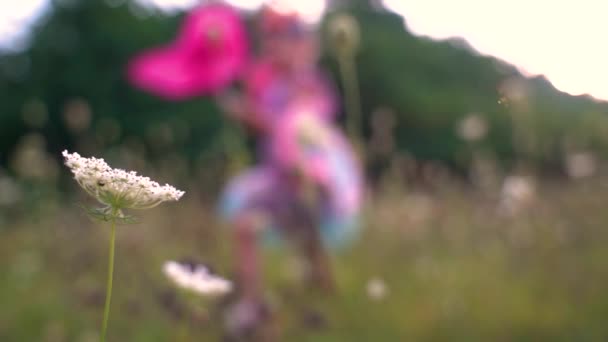 Młoda Dziewczyna Ubrana Różowo Skrzydłami Motyla Biegnie Gra Wysokim Polu — Wideo stockowe