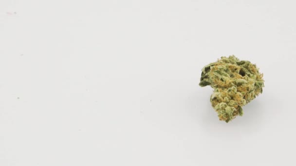 Strain Marijuana Gâteau Anniversaire Rotation Boucle Single Bud Cadre Droit — Video