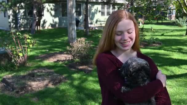 Yorkie Mistura Poodle Ser Realizada Por Seu Proprietário Amoroso — Vídeo de Stock