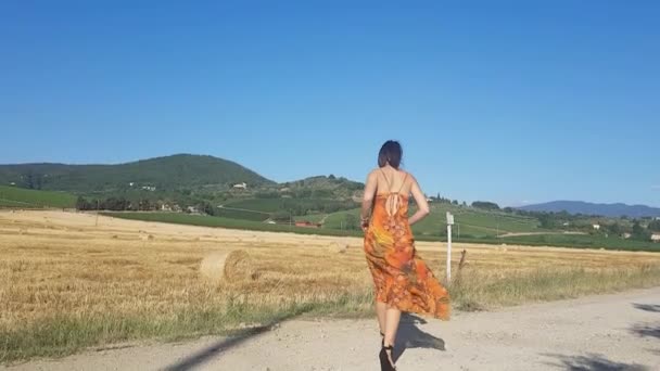 若いブルネットの女の子は夏の初めに小麦畑に向かって歩いています Sieci Pontasieveトスカーナ イタリア — ストック動画