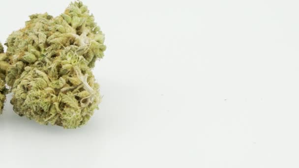 Marijuana Strain Chemdawg Döngü Döngüsü Bölüm Sol Çerçeve Ultra Çözünürlük — Stok video