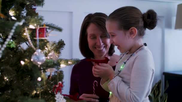 母親と娘がクリスマスツリーを飾る — ストック動画