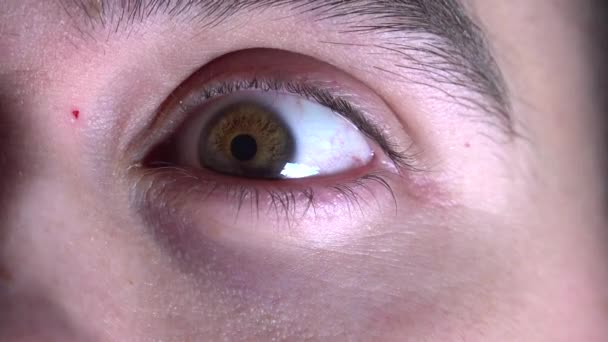 Pupila Olho Reagir Luz — Vídeo de Stock