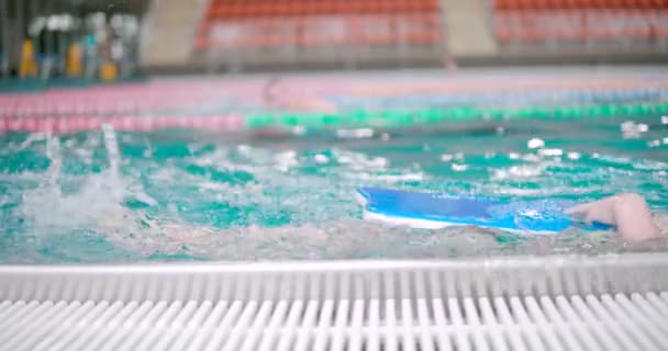 Jong Kind Zwemt Achteruit Een Overdekt Zwembad Terwijl Vasthouden Aan — Stockvideo