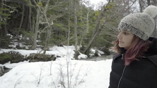 Portré Profil Aggódó Lány Rózsaszín Haj Fehér Sapka Havas Erdőben — Stock videók