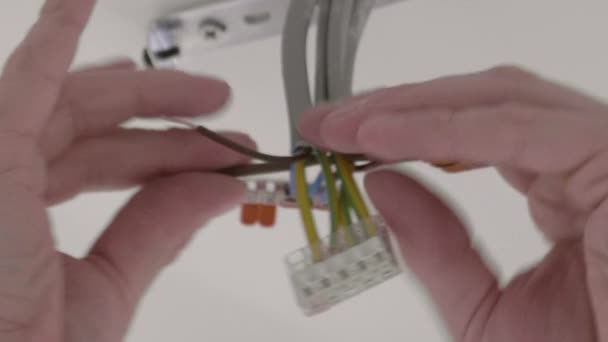 Homem Conecta Fios Cabos Eletricidade Para Lâmpada Fechar — Vídeo de Stock