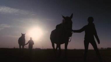 Gün batımında iki jokey ve atın siluetleri, ağır çekim