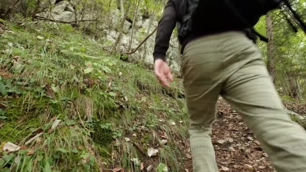 Człowiek Spacerujący Przez Bardzo Zielony Las Pochmurny Dzień Słowenii Pobliżu — Wideo stockowe