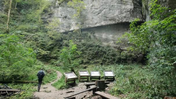 Людина Проходить Через Ущелину Поклюка Словенії Протягом Весни Національному Парку — стокове відео