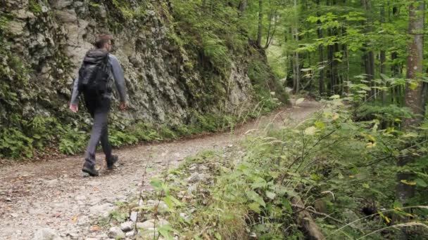 トリグラフ国立公園の春の間 スロベニアのポクルカ渓谷を歩く男 小さな山道でカメラから離れて歩く — ストック動画
