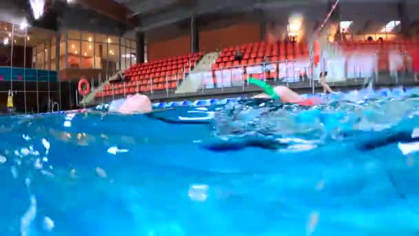 Νεαρό Ενεργό Παιδί Goggle Κολύμπι Backstroke Δημόσια Εσωτερική Πισίνα — Αρχείο Βίντεο