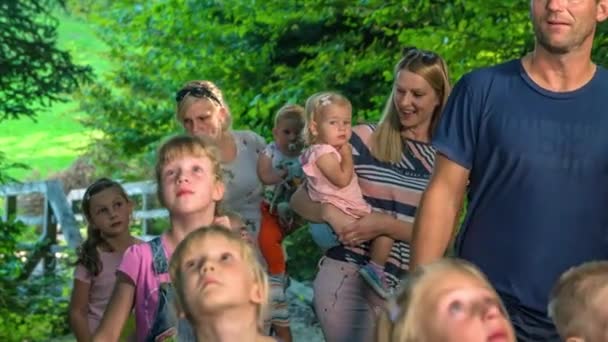 森の道を歩く女の子と男の子を持つ大家族 ママ保持赤ちゃん すべての女の子 — ストック動画