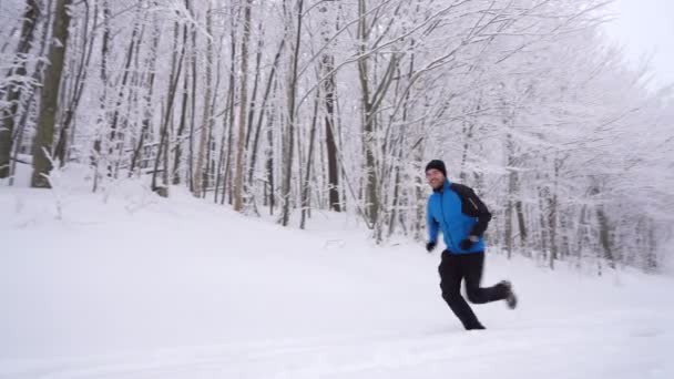 素晴らしい冬の東カナダの山で撮影したドリーパン — ストック動画