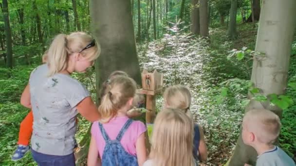 Matka Hravé Děti Tulení Park Vstupenky Stojí Blízkosti Velkých Stromů — Stock video