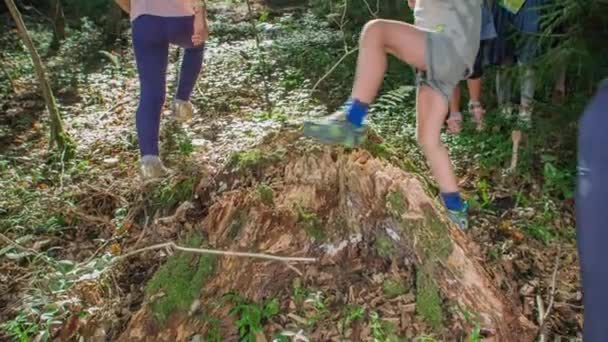 公園の森への旅行で腐った乾燥した木の幹の周りで遊んでいる子供たち 男の子が誤って落下し 少し足を負傷 — ストック動画