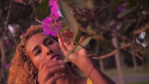 Красуня Леді Сніффінг Відтінок Пурпурової Центриданії Квіти Парку Зблизька Shot — стокове відео