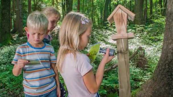 Fiatal Gyerekek Pecsétet Jelölnek Belépőkártyájukon Egy Buja Zöld Dzsungelben Lassú — Stock videók