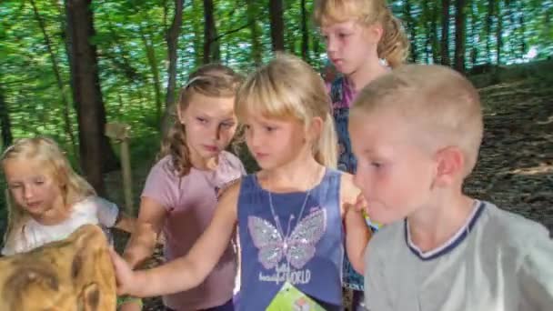 Niños Pequeños Tocando Disfrutando Estatua Búho Madera Densa Selva Verde — Vídeos de Stock