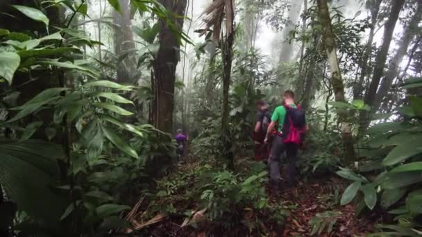 Toeristen Lopen Door Het Regenwoud Guatemala Handheld — Stockvideo