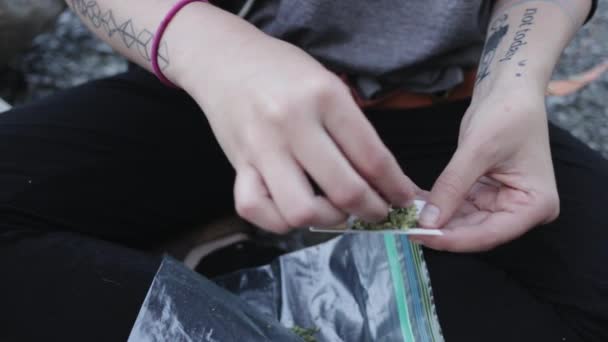 Toronto Canadá Una Joven Colocando Hojas Marihuana Secas Pequeño Pedazo — Vídeos de Stock