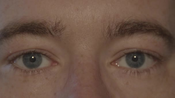 Par Blå Manliga Ögon Stirrar Kameran Och Blinkar Långsamt — Stockvideo