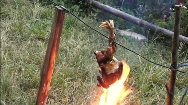 Rôti Poulet Style Primitif Sur Feu Camp — Video