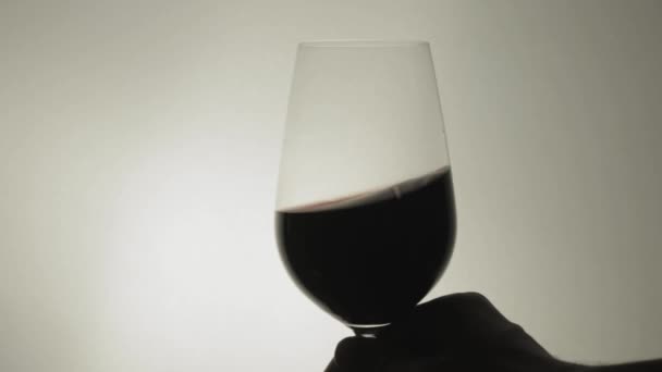 Agitando Copo Vinho Com Uma Mão Uma Posição Firme Close — Vídeo de Stock