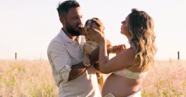 Hermosa Pareja Haciendo Ensayo Mujer Embarazada Junto Con Perro Hermoso — Vídeos de Stock