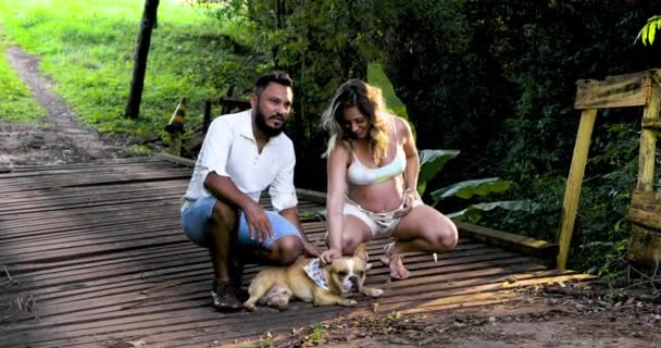 Pregnant Couple Posing Picture Top Old Bridge Together Pet French — Stock Video