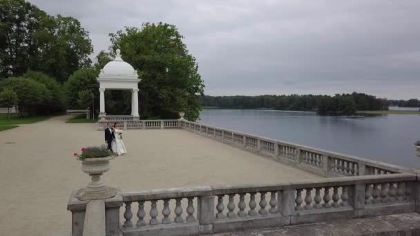 Una Elegante Pareja Casados Camina Parque Único Junto Lago Ángulo — Vídeo de stock