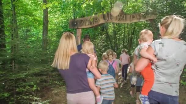 Família Entra Floresta Para Explorar Trilhas Para Caminhadas Turísticas — Vídeo de Stock