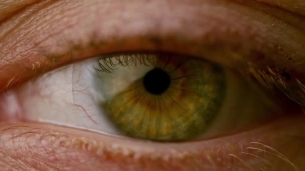 Макро Крупним Планом Знімок Відкриття Закриття Зелених Жіночих Очей Повільний — стокове відео