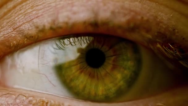 Close Levendig Groen Oog Kijkend Camera Detail Van Veelkleurige Groene — Stockvideo