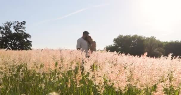 フィールド内の花の中で愛の若いカップルは 晴れた日の背後にある美しい青空 妊娠中の妻 固定カメラ — ストック動画