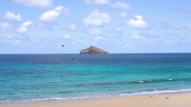 Kleine Insel Der Ferne Von Blauem Wasser Mit Vorbeiziehenden Vögeln — Stockvideo