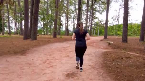 Capture Girl Jogging Outdoors Dirt Trail Beteen Trees — Stock Video