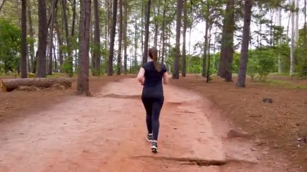 木の間の未舗装の道を走る少女 被写体の後ろからカメラ — ストック動画