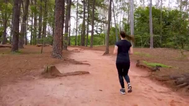 木の間の未舗装の道を少女ジョギング カメラの後ろから被写体に続く — ストック動画
