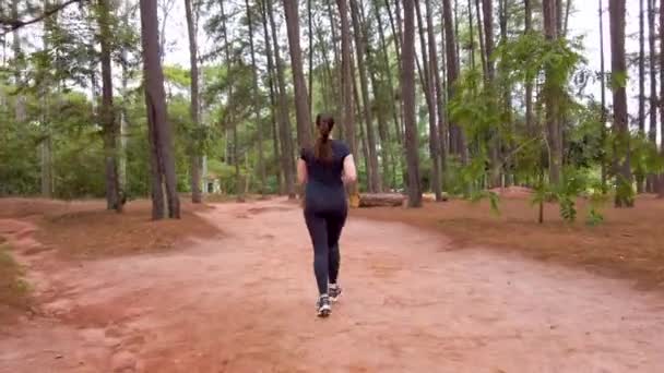 木の間の未舗装の道を走っている女の子 カメラが右側に動いている — ストック動画